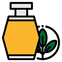 Timeless Scents