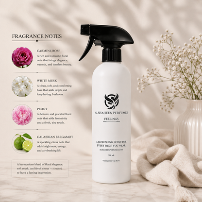 Feelings Spray 500ML